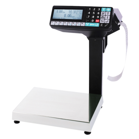 Весы-регистраторы МАССА-К MK_R2P10 фасовочные печатающие с отделительной пластиной